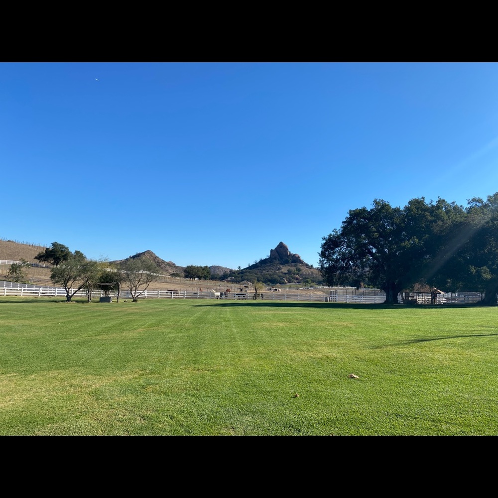 Meet your Posher, Tran